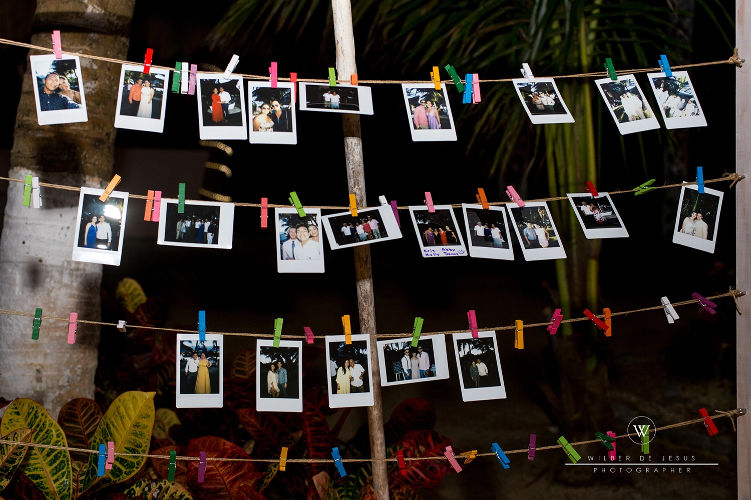 Will Photographer | Wedding Ale & Moy