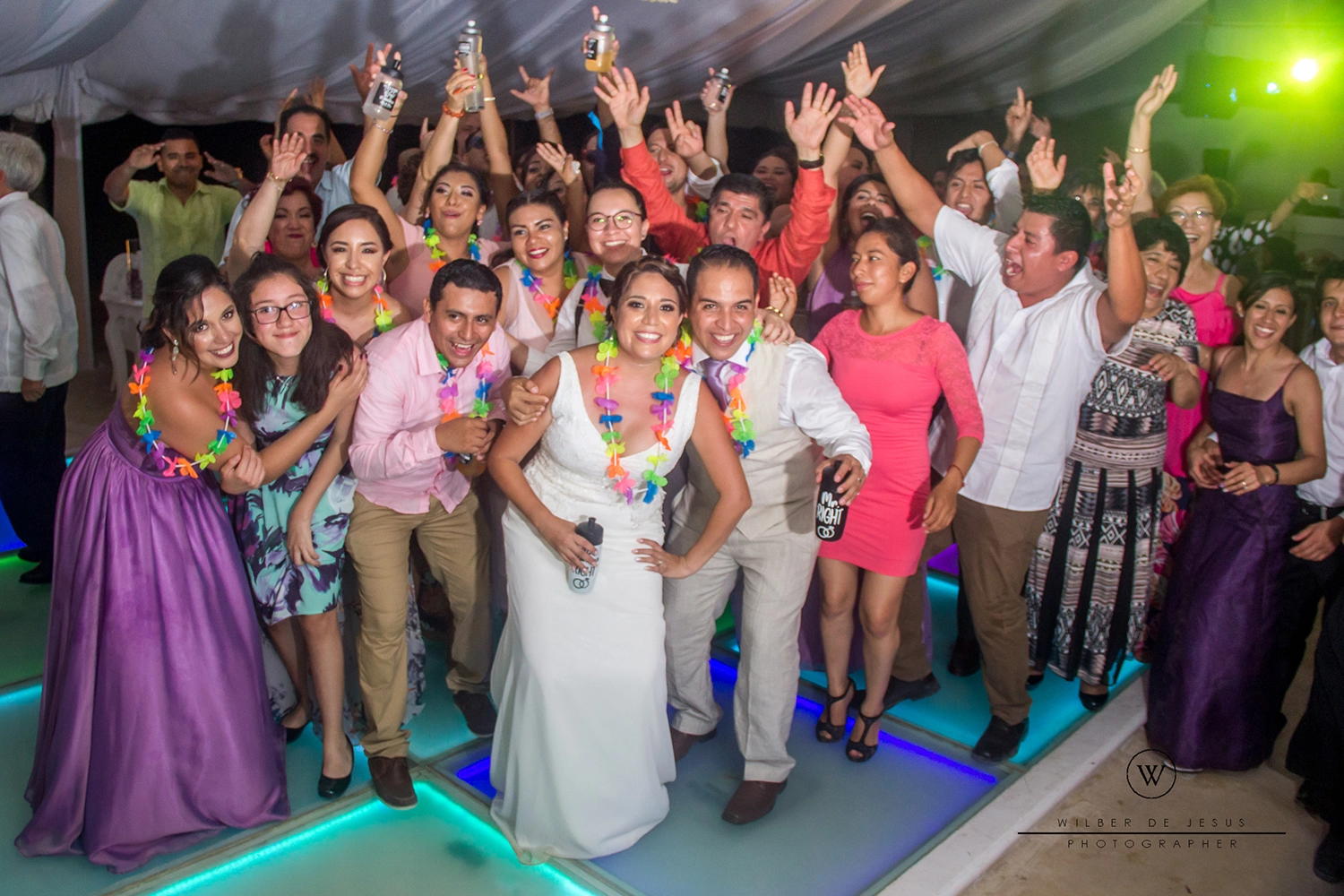 Will Photographer | Wedding Ale & Moy