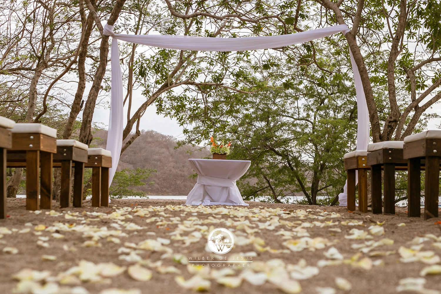 Will Photographer | Bellaro Wedding