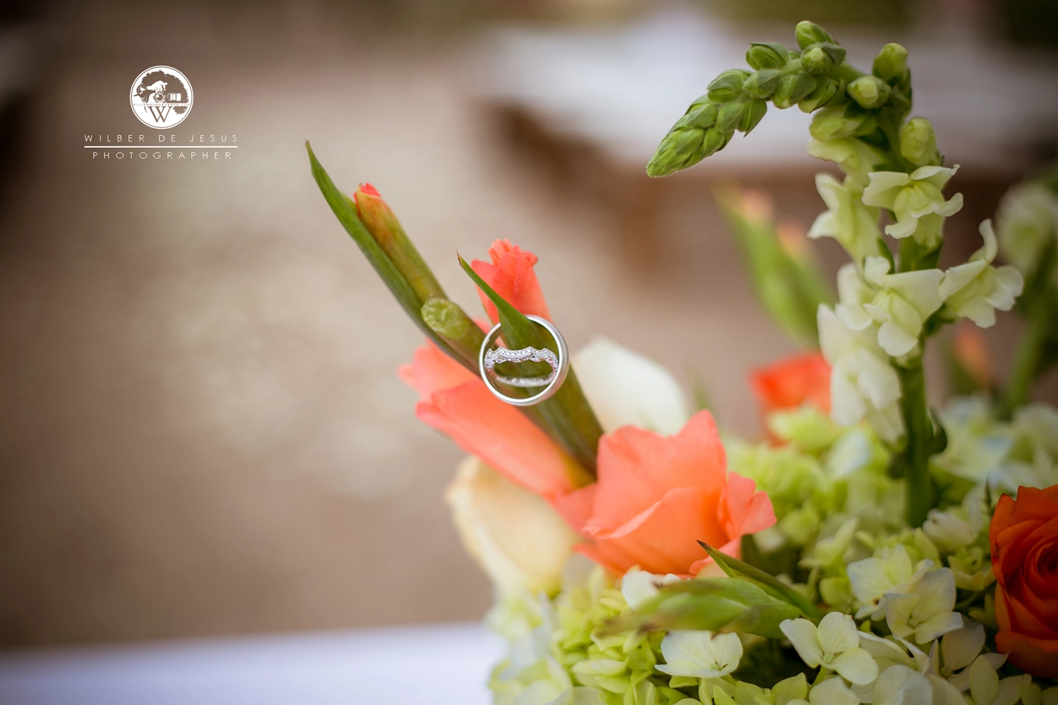 Will Photographer | Bellaro Wedding