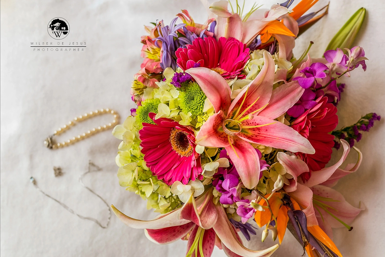 Will Photographer | Craigue Wedding