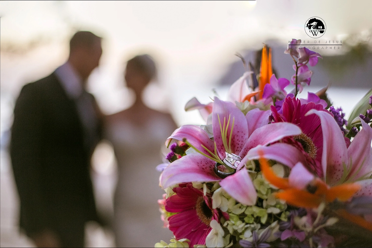 Will Photographer | Craigue Wedding