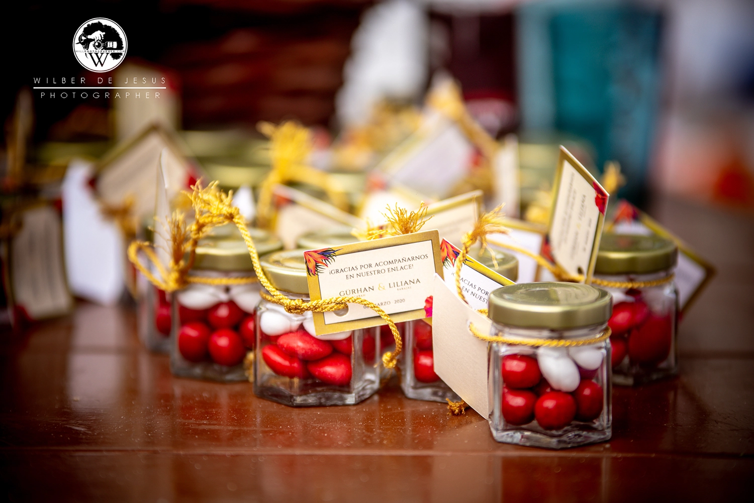 Will Photographer | Wedding Gurhan & Liliana